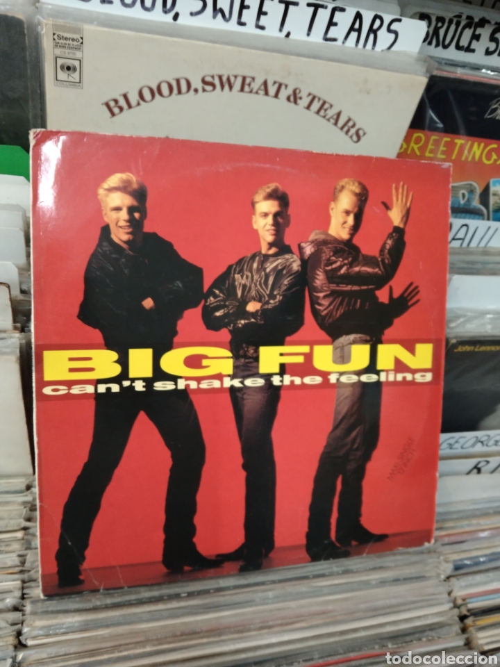 Discos de vinilo: Big fun Cant shake the feeling - Foto 1
