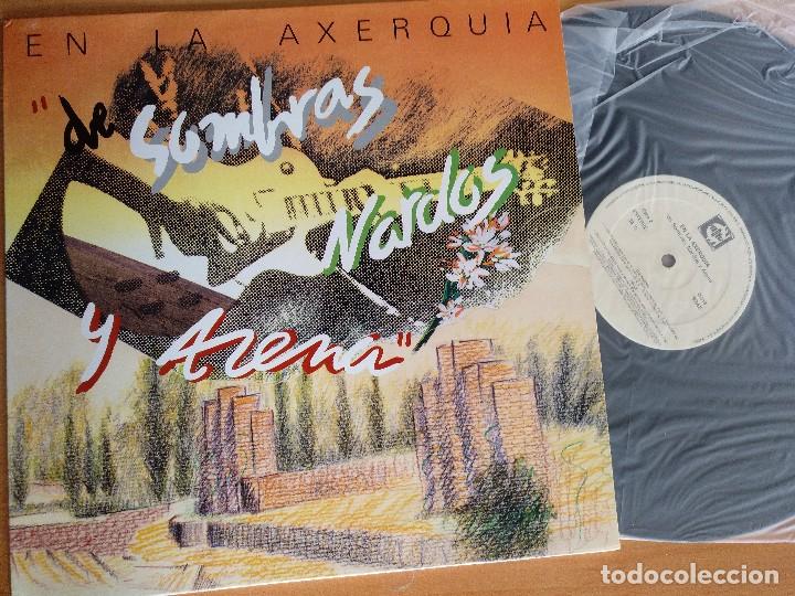 Discos de vinilo: EN LA AXERQUIA LP . NUEVO - Foto 1
