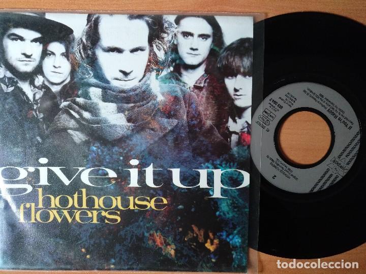 Discos de vinilo: HOTHOUSE FLOWERS GIVE IT UP SINGLE NUEVO - Foto 1