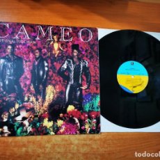 Discos de vinilo: CAMEO EMOTIONAL VIOLENCE LP VINILO DEL AÑO 1992 ALEMANIA CONTIENE 10 TEMAS. Lote 304848213