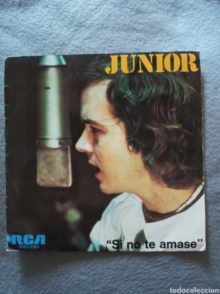 Discos de vinilo: Junior-si no te amase..disco vinilo single - Foto 1
