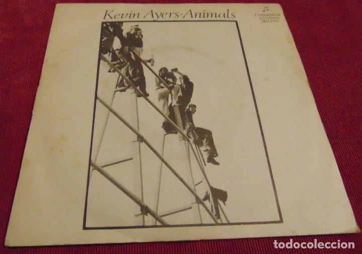 Discos de vinilo: Kevin Ayers &ndash; Animals - SINGLE 1982 - Foto 1