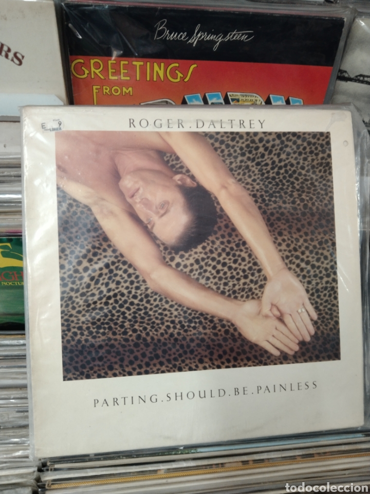 Discos de vinilo: Roger daltrey parting should be painless - Foto 1