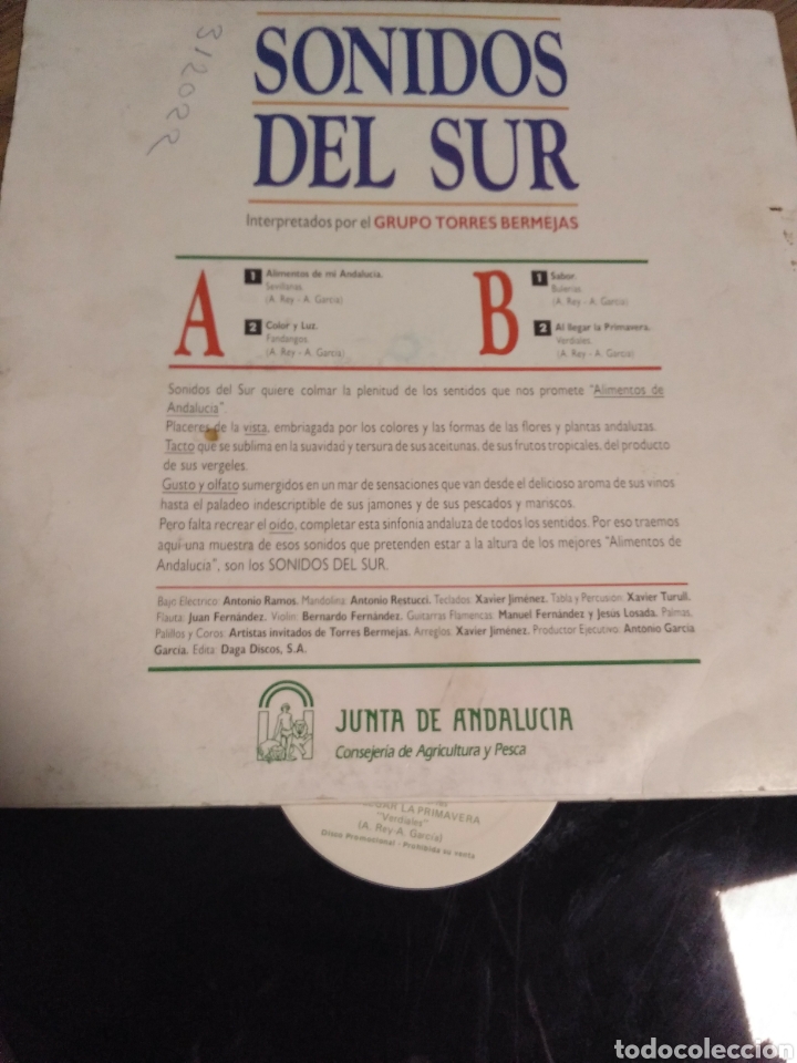 Discos de vinilo: Sonidos del sur - Foto 2