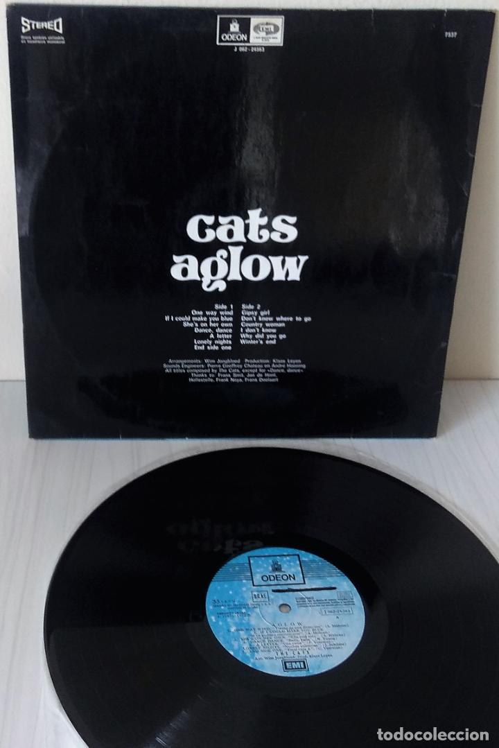 Discos de vinilo: THE CATS - AGLOW ODEON - 1972 - Foto 2