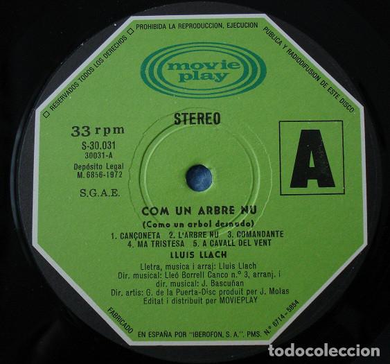 Discos de vinilo: Lluis Llach &ndash; Com Un Arbre Nu - Foto 4