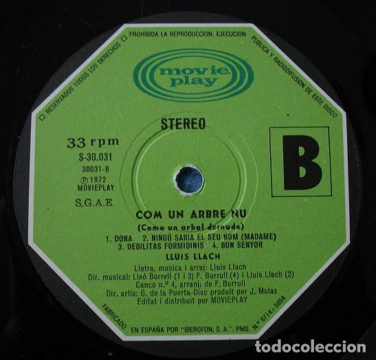 Discos de vinilo: Lluis Llach &ndash; Com Un Arbre Nu - Foto 5