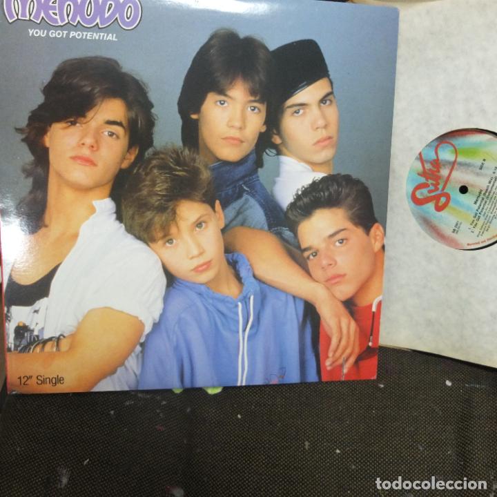 Discos de vinilo: menudo -you cot potential -maxi -usa - Foto 1