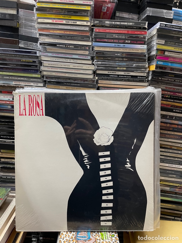 Discos de vinilo: La rosa Tren de az&uacute;car - Foto 1