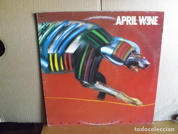 Discos de vinilo: APRIL WINE --- ANIMAL GRACE - Foto 1