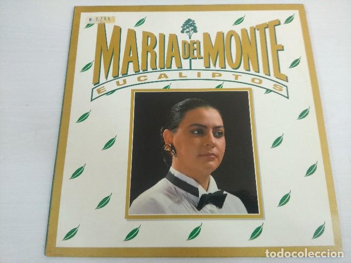 Discos de vinilo: MARIA DEL MONTE/EUCALIPTOS/VINILO MAXI. - Foto 1