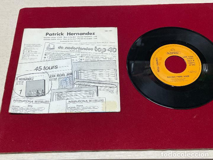 Discos de vinilo: SINGLE PATRICK HERNANDEZ BORN TO BE ALIVE 1979 - Foto 2