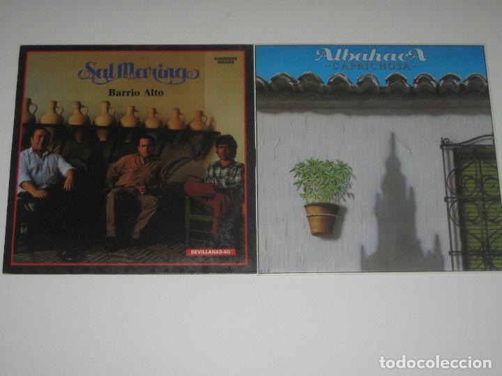 Disques de vinyle: ALBAHACA Y SAL MARINA - LOTE DE DOS LPS
