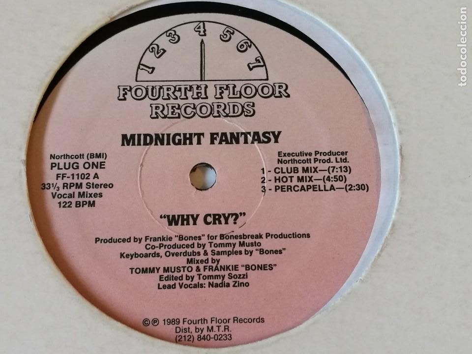 Discos de vinilo: Midnight Fantasy - Why Cry? - 1989 - Foto 1