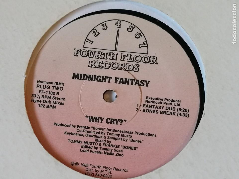 Discos de vinilo: Midnight Fantasy - Why Cry? - 1989 - Foto 2