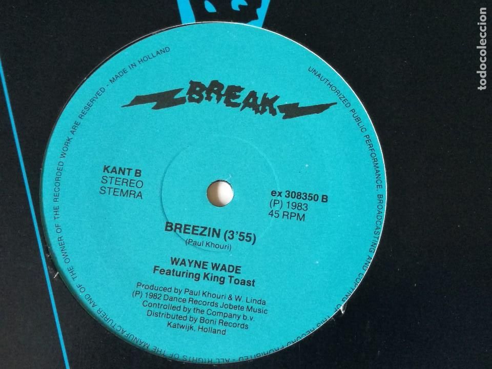 Discos de vinilo: Wayne Wade Featuring King Toast - Lady - 1982 - Foto 2