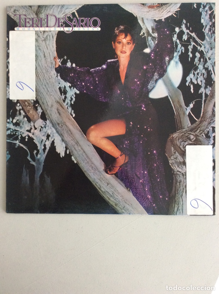 Discos de vinil: Teri De Sario. Moonlight Madness.