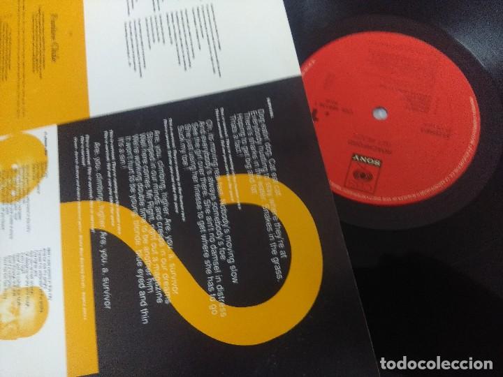 Discos de vinilo: ROACHFORD/GET READY/VINILO. - Foto 2