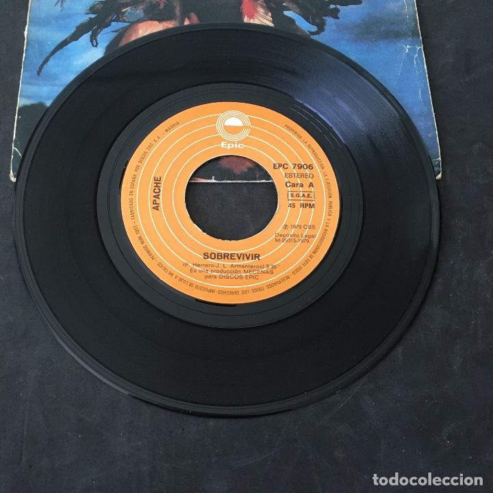 Discos de vinilo: VINILO SINGLE - APACHE - SOBREVIVIR - EPIC 1979 EPC7906 - Foto 3