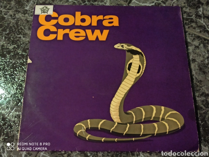 Discos de vinilo: Cobra Crew -&nbsp;Ready For The Summer - Foto 1
