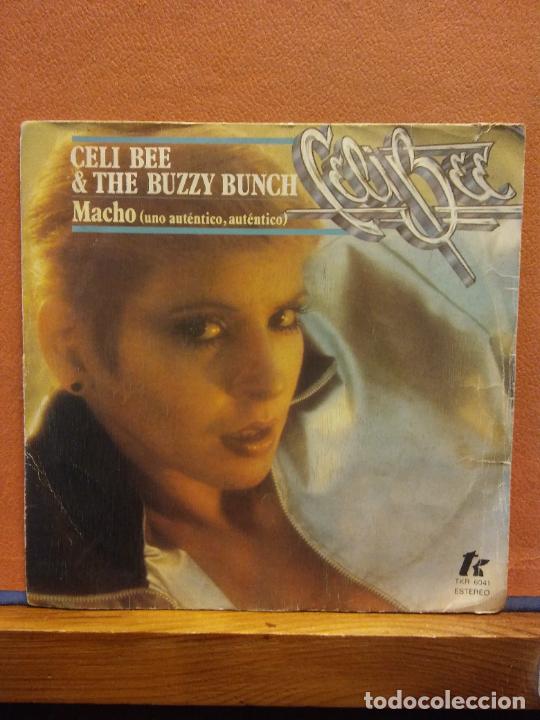 Discos de vinilo: SINGLE. CELI BEE & THE BUZZY BUNCH. MACHO. - Foto 1