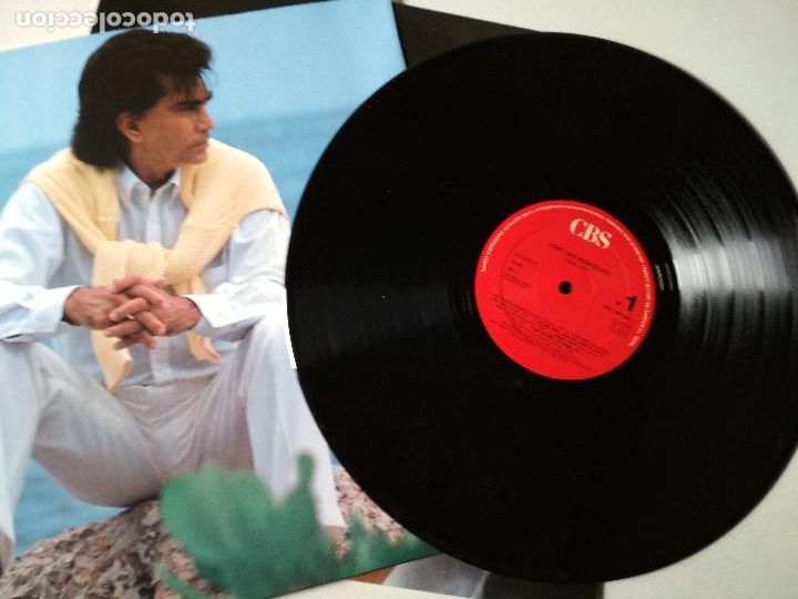Discos de vinilo: JOSE LUIS RODRIGUEZ, EL PUMA, ESTAVEZ 1990 CBS - Foto 2