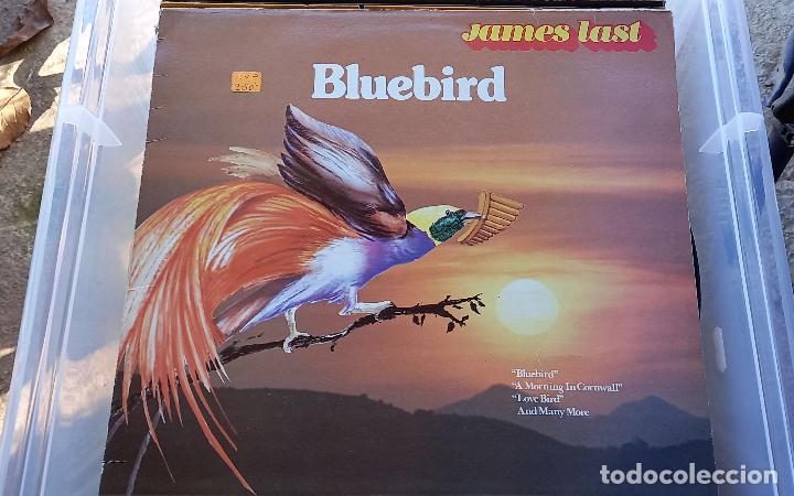 Discos de vinilo: DISCO VINILO JAMES LAST BLUEBIRD - Foto 1