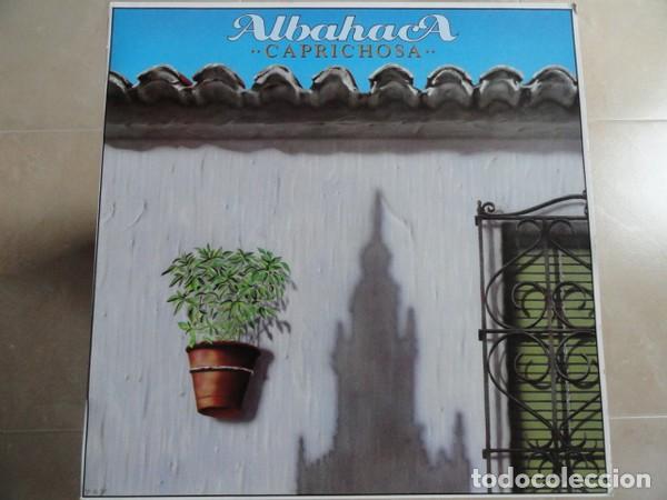 Discos de vinilo: Albahaca &lrm;&ndash; Caprichosa - Foto 1