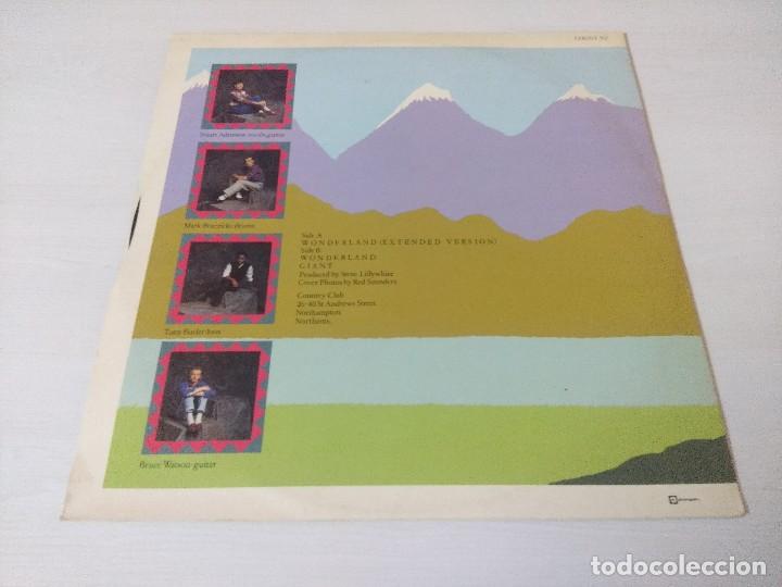 Discos de vinilo: WONDERLAN/BIG COUNTRY/VINILO. - Foto 3