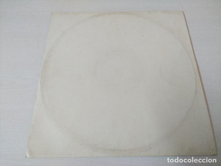 Discos de vinilo: THE VIRIDIAN BLAMMO/VINILO. - Foto 3