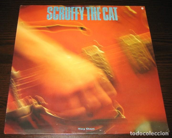 Discos de vinilo: SCRUFFY THE CAT - Tiny Days - LP Relativity 1987 - US - Foto 1