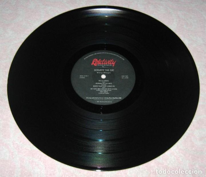 Discos de vinilo: SCRUFFY THE CAT - Tiny Days - LP Relativity 1987 - US - Foto 2