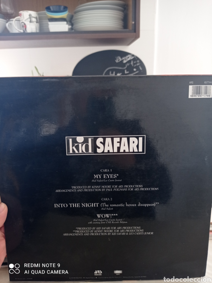 Discos de vinilo: Kit Safari my eyes - Foto 2