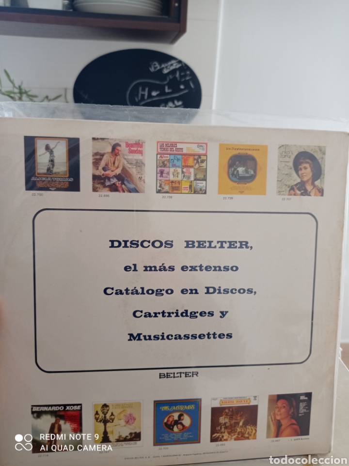 Discos de vinilo: El ni&ntilde;o leon - Foto 2