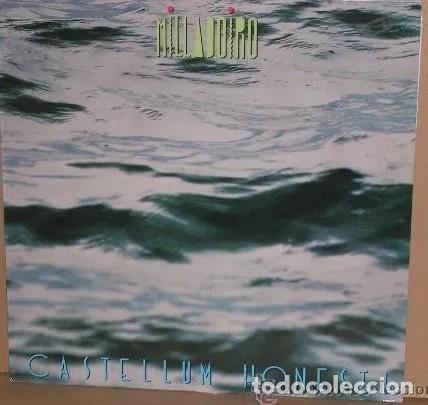 Discos de vinilo: Milladoiro, Castellum honesti - Foto 1