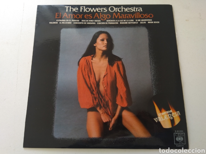 Discos de vinilo: LP THE FLOWERS ORCHESTRA - Foto 1