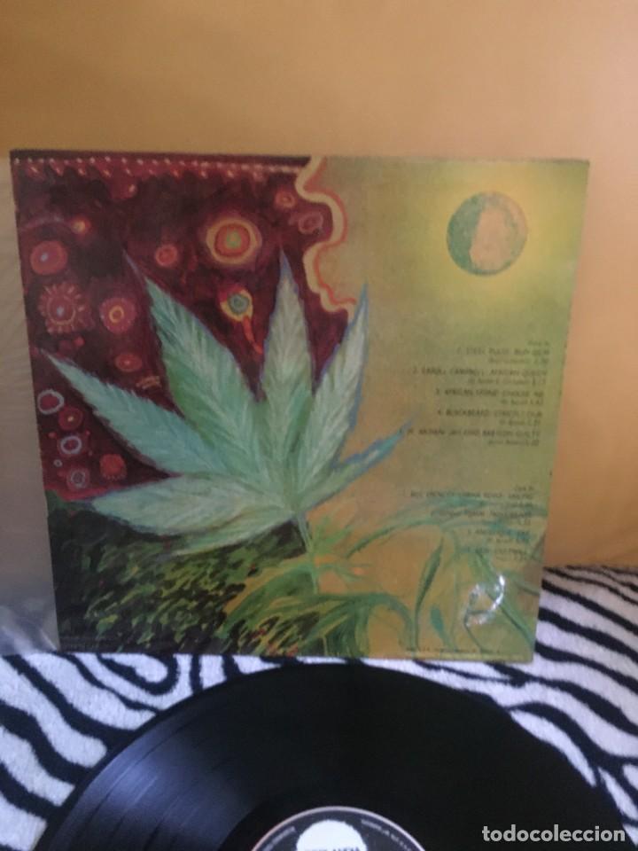 Discos de vinilo: Sabor De Reggae - Foto 3