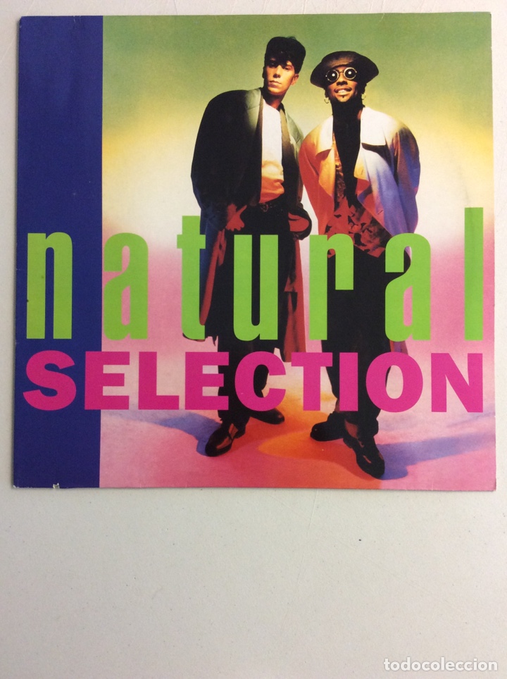 Discos de vinilo: Natural selection. The anything - Foto 1