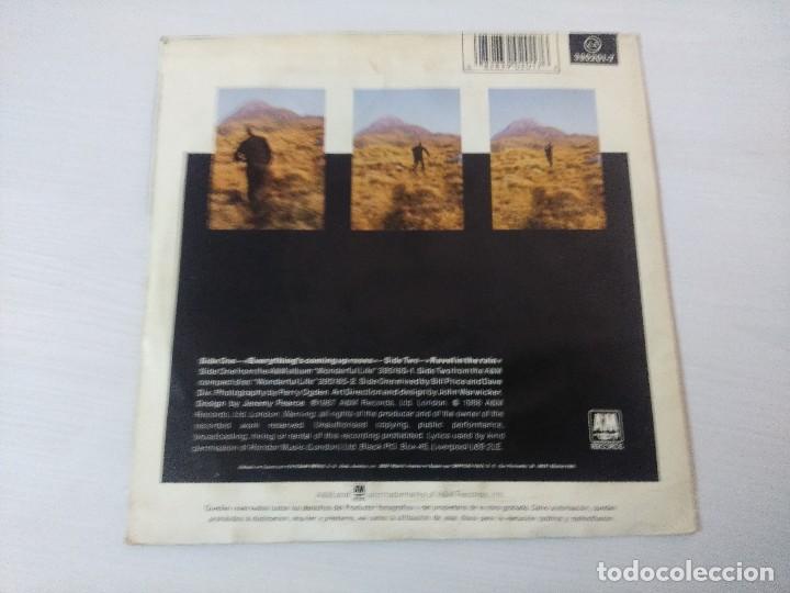 Discos de vinilo: BLACK/EVERYTHINGS COMING UP ROSES/SINGLE. - Foto 3