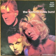 Discos de vinilo: THE DARLING BUDS : BURST [EPIC - ESP 1988] 12”. Lote 334773703