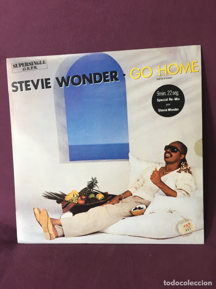 Discos de vinilo: Disco de vinilo LP STEVIE WONDER GO HOME - Foto 1