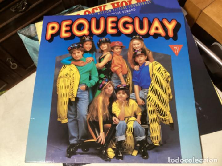 Discos de vinilo: PEQUEGUAY. LP CON INSERTO CON LETRAS - Foto 1