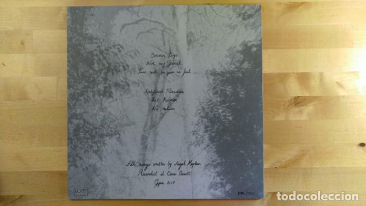 Discos de vinilo: Angel Kaplan &ndash; Transparent Dayze - Foto 4
