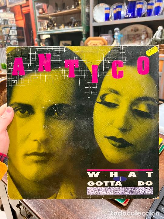 Disques de vinyle: LP ANTICO - WHAT GOTTA DO