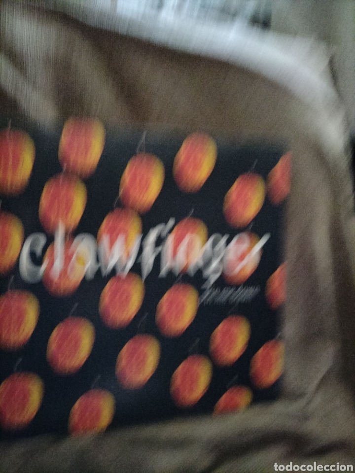 Discos de vinilo: Clase Finger - Foto 1