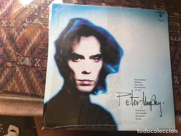 Discos de vinilo: Peter Murphy. Holy Smoke - Foto 2