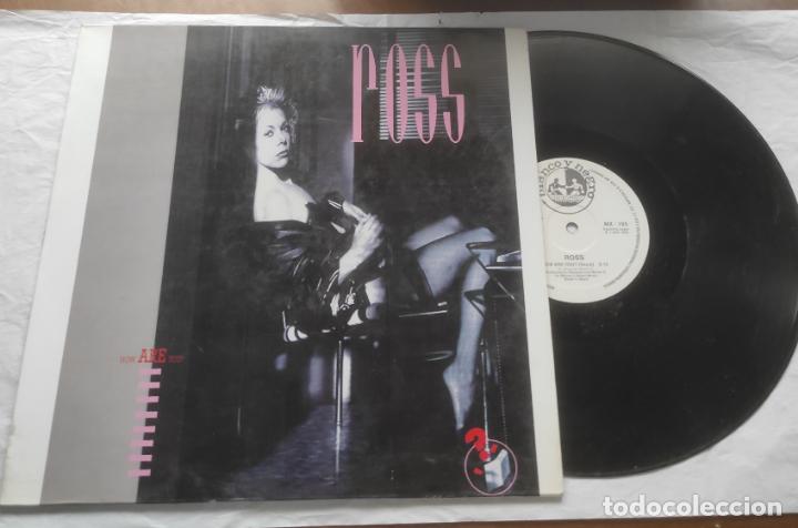 Discos de vinilo: Ross &lrm;&ndash; How Are You?-MAXI-ESPA&Ntilde;A- - Foto 1