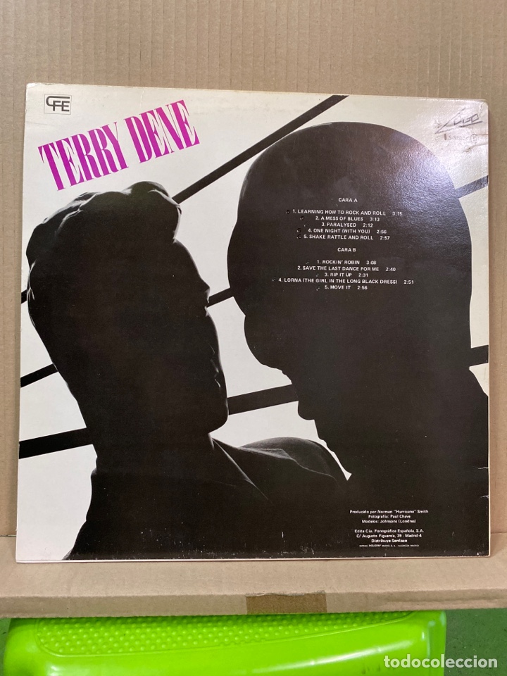 Discos de vinilo: LP TERRY DENE, LEARNING HOW TO ROCK AND ROLL - Foto 2