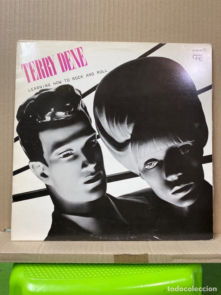 Discos de vinilo: LP TERRY DENE, LEARNING HOW TO ROCK AND ROLL - Foto 1