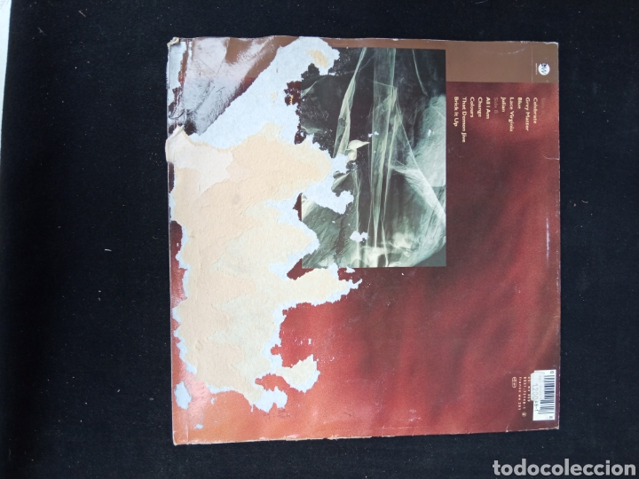 Discos de vinilo: AN EMOTIONAL FISH - Foto 2